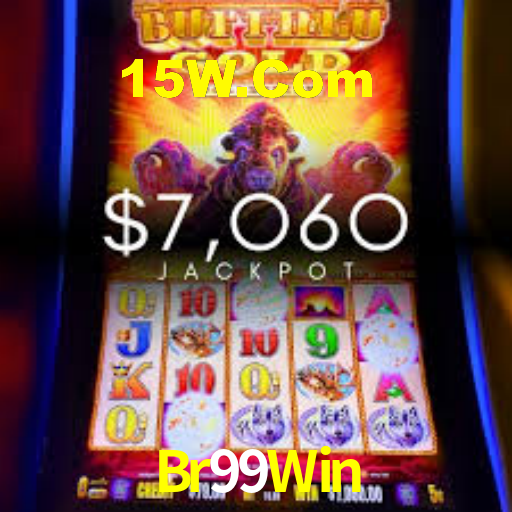 Premium Interface Br99Win