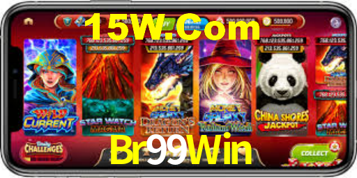 Br99Win